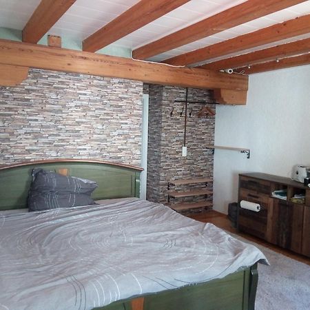 See- Und Altstadthaeusle - Alles Direkt Vor Der Haustuer - Bodenseeufer Natur Altstadt Bahnhof Bora-Sauna - Klein Und Super Zentral Zum See Oepnv Stadt Natur Etc - Appartement Historica Radolfzell am Bodensee Ngoại thất bức ảnh