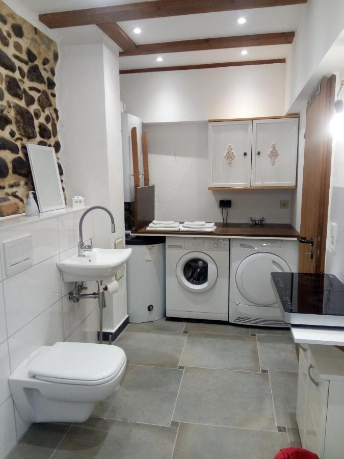 See- Und Altstadthaeusle - Alles Direkt Vor Der Haustuer - Bodenseeufer Natur Altstadt Bahnhof Bora-Sauna - Klein Und Super Zentral Zum See Oepnv Stadt Natur Etc - Appartement Historica Radolfzell am Bodensee Ngoại thất bức ảnh